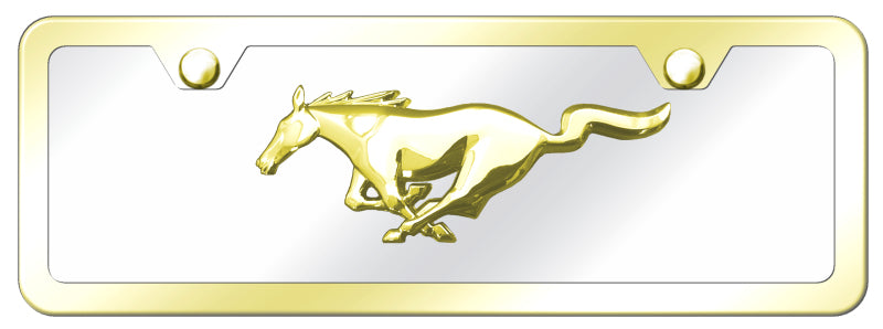 Ford Mustang Mini Kit - OEM Style Logo - Official Licensed